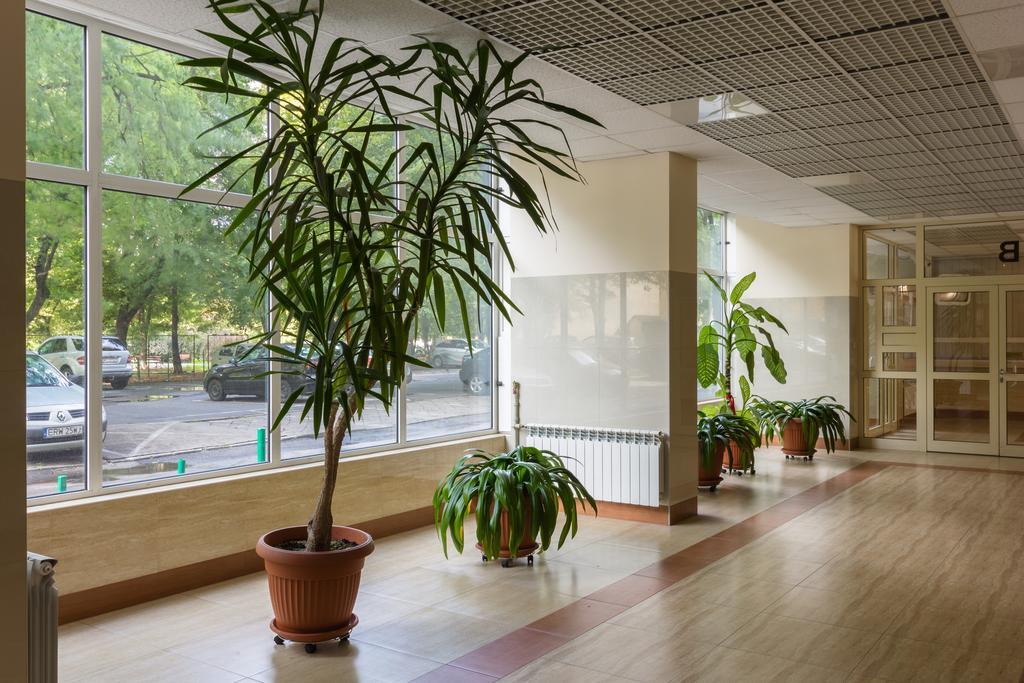 Butas Industrial 9th Floor With Balcony And Views